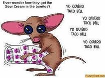 TACOSLUT