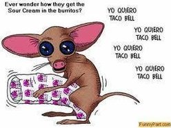 TACOSLUT