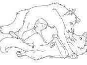WOLVESRUS