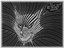 Camo the Cat (Fan)