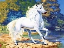 EQUINEALLTHETIME