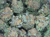 KUSH