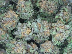 KUSH