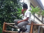 AnandaPutra IrjulPratama Skd
