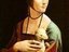 lady elton the ferret (Fan)