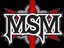 Metal Storm Magazine (Fan)