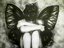 Aristopia (Fan)