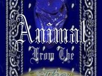 animal-2-k7