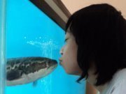 Aghastama Firmandha Kharisma Putra