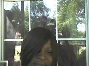 Nekieda Bush