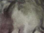 Jamaal TwotimesJohnson