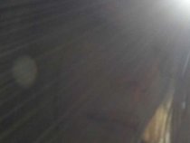 Angel Stars