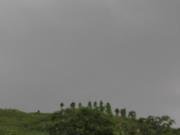 Bharat Mushahary