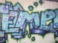 Dbf Fromkin-Hippies Temple