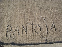 Panto