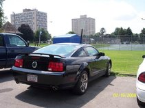 mustangsallygt08
