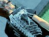chazz_MCR