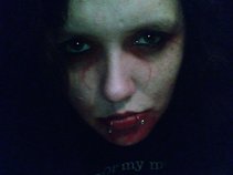 rock n roll bitch