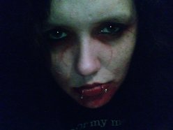 rock n roll bitch