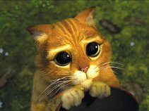 rexcat.85