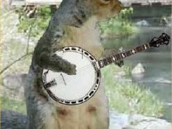 chicbanjo