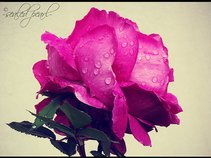 amaal85