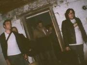 BassChimps
