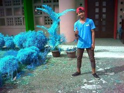Andi Light Comunity