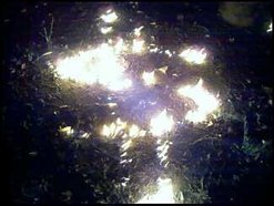 sfd39