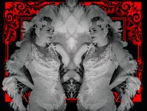 Katherine Beesley Elegant Savage