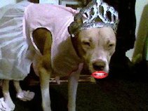 Edie A