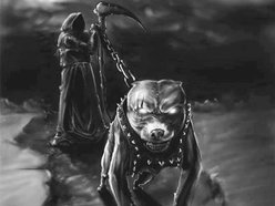 Watchdog Records