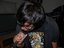 TerreF15 (Fan)