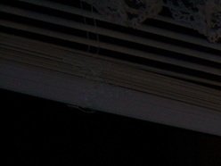 slipknot_2202