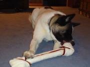 Jill Pittman Holling