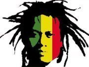 Phaino Kucing Rasta