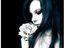 stephy_r_sys (Fan)