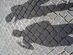 Same Cage