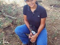Anaitte