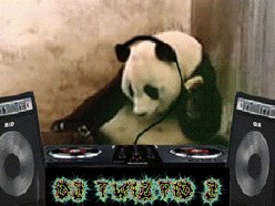 DJ Twiztid J DJ Twiztid J