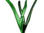 E8z