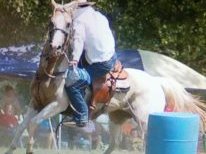 cowboy26