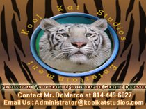 Kool Kat Studios