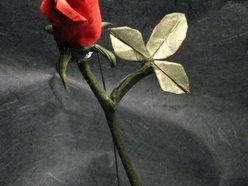 *J.Ann.G*