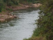 Jongkol Ammatawasi