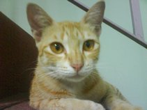 budak rock