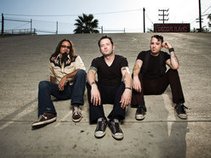 DIZZYLILACS FAN SITE