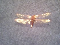 Dragonfly3