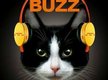 Mews Buzz