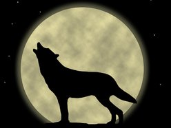 kiyote
